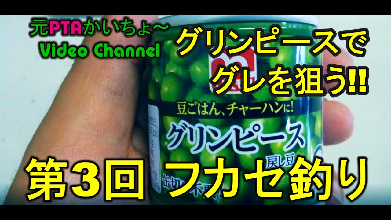 グリンピースでグレを釣る Youtube グリンピースでグレを釣る Youtube