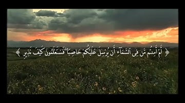 سورة الملك - فجريات محمد غازي القرشي حفظه الله 