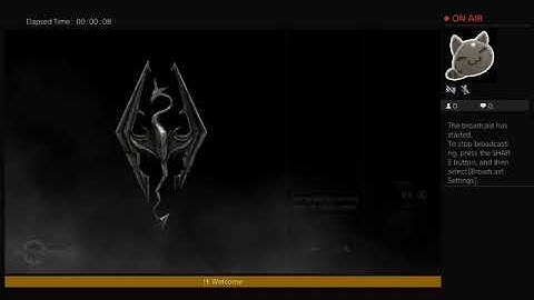 Messing around in skyrim with mods