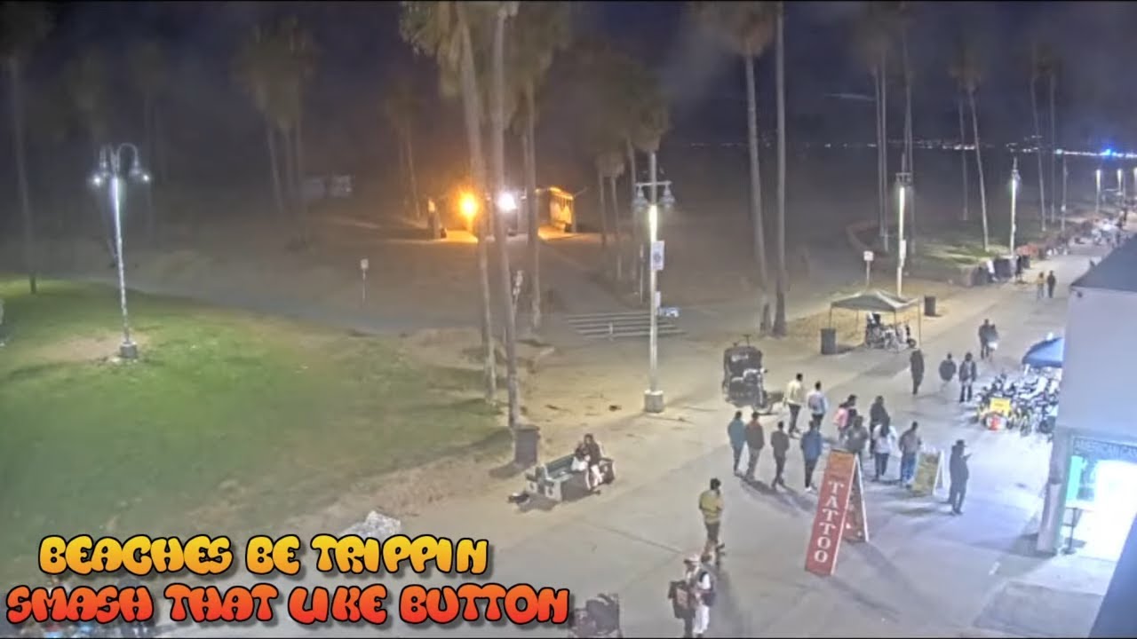 Venice Beach cam Venice Beach Live Cam venice beach live