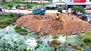 Start a new project, a group of experts, a 5-ton truck dumped by bulldozers to clear the lake