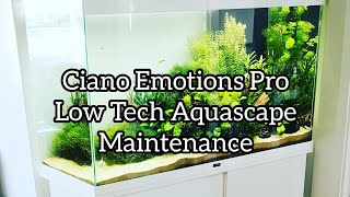 Ciano Emotions Pro Low Tech Aquascape Maintenance