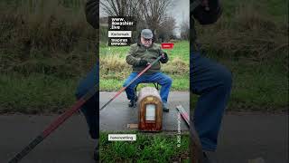 Download Lagu Hanenzetting met 9 hanen #shorts #hanenzetting #haan #fowl #coq #roostercrowing #immaterieelerfgoed MP3