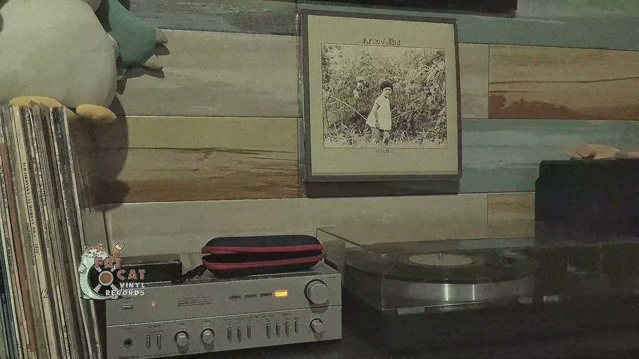 中村章三 (Shozo Nakamura) - あれから君は (Are Kara Kimi Wa) (1975