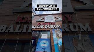튀르키예 이스탄불 줄서서 먹는 고등어캐밥집 비린내 안남!! #튀르키예 #이스탄불 #고등어케밥