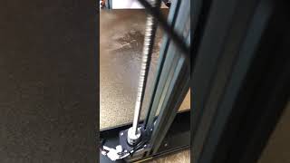 IMG 1342