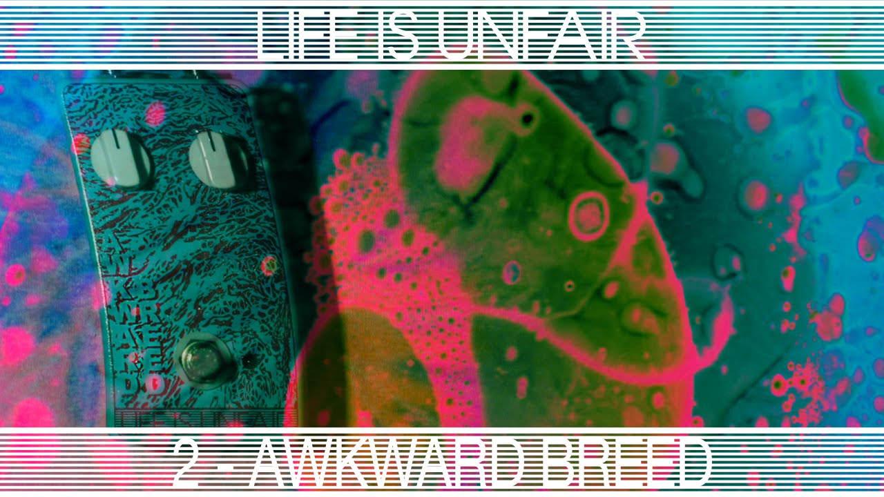 LIFE IS UNFAIR Audio Devices Awkward Breed | Reverb