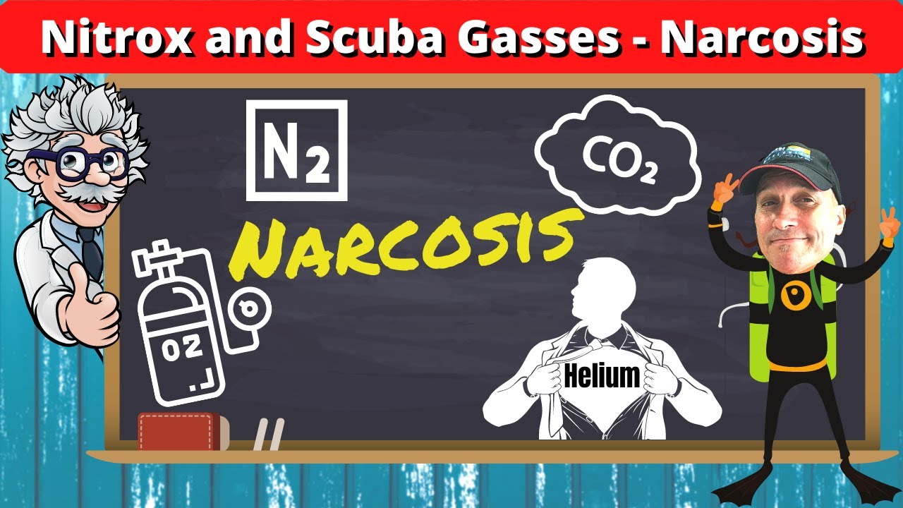 Scuba Diving Gasses Narcosis, Nitrogen & Carbon Dioxide YouTube