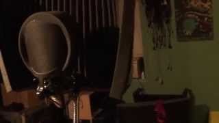 DIY reflection filter for 24 dollars,very light weight,(by dab)