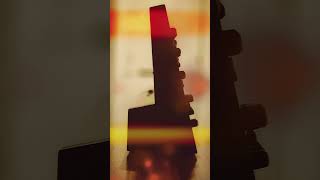 Analogue Solutions Fusebox X Now Available! (Teaser 1) #shorts