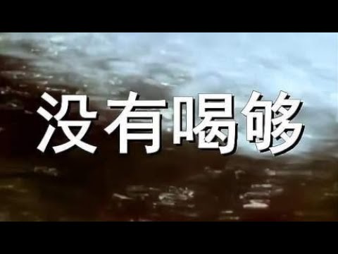 柔情女歌手演唱《没有喝够》刷爆各大音乐平台，唱出多少人心声