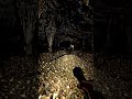 Stumbled Upon a Literal Treasure Cave! Gold Coins Everywhere