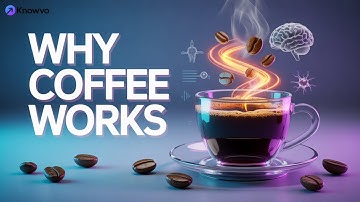 Why Coffee Works: The Science Behind Your Morning Cup