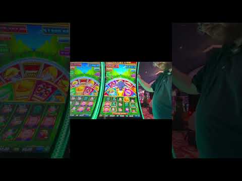 Die Live-Casino-Lobby bei Wintino verstehen