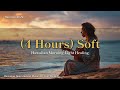 (4 Hours) Soft Hawaiian Morning Light | Healing & Positive Hawaiian BGM Slack Key Guitar & Ukulele