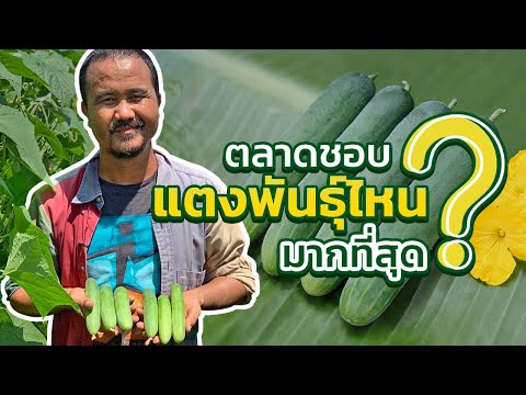 วีดีโอ: แต้มบำนาญ - มันคืออะไร? คะแนนเกษียณอายุคำนวณอย่างไร?