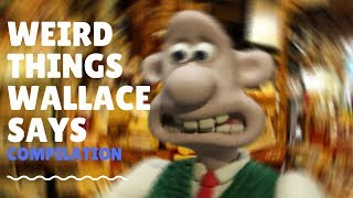 Weird Things Wallace Says Just Wallace Things Compilation