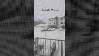 Ohio Snowstorm and Dividends #snowstorm #snow  #winter