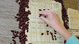 Division with fractions on the Roman abacus and counting board