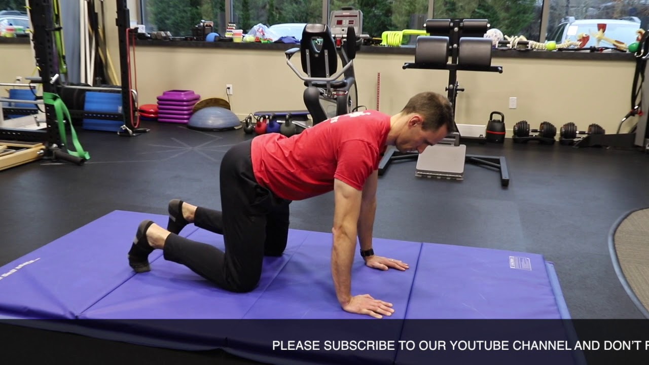 CHIN TUCK QUADRUPEDBANDED YouTube