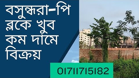 বসুন্ধরা পি ব্লকের পানির দামে ৩ কাঠার প্লট বিক্রয় হবে। এখনই না কিনলে মিস করবেন! 