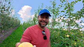 Saying Yes to Life | Mindful Apple Picking Day Trip 🍏