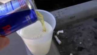 Dont Mix Milk With Red Bull