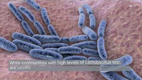 A temporal model of cervicovaginal microbiota identifies targets to promote reproductive health