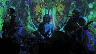 LOVE (featuring Johnny Echols) - " Alone Again Or"  (2019 San Francisco)