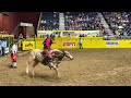 New Mexico State bull rider Brad Moreno with a 71 at the College National Finals Rodeo on Sunday.