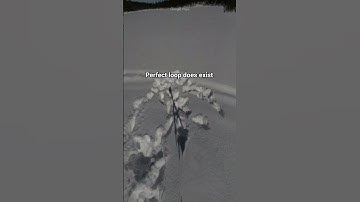 #loop #loops #looping #loopvideo  #youtubeshorts #fypシ #the #haha #dejavu #short