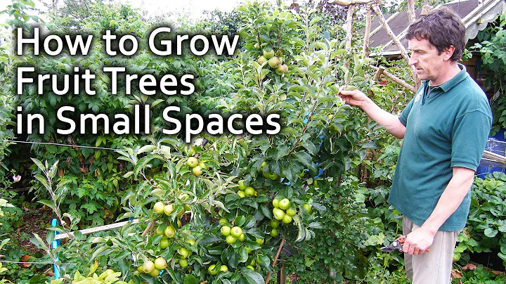 How to Grow Fruit Trees in Small Spaces - DayDayNews