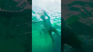 A GUIDE TO MENJANGAN ISLAND #menjanganisland #marine #diving #snorkeling #fastboot #fishinglife