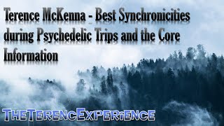 Terence McKenna - Best Synchronicities during Psychedelic Trips and the Core Information