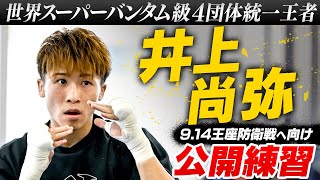 王者の仕上がり】マルチアングルで見る井上尚弥のシャドー&ミット打ち