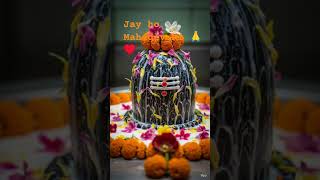 ❤️😀 har har Mahadev 🙏♥️ #bhaktivibes #devotionalsongs #devotionalhits #mahadevstatus #shivbhakti