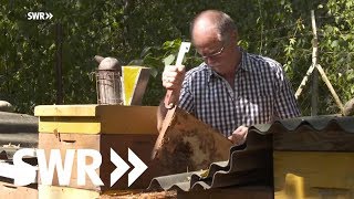 Der KöniginnenZüchter  Leo Famulla und seine sanften Bienen | SWR Mensch Leute