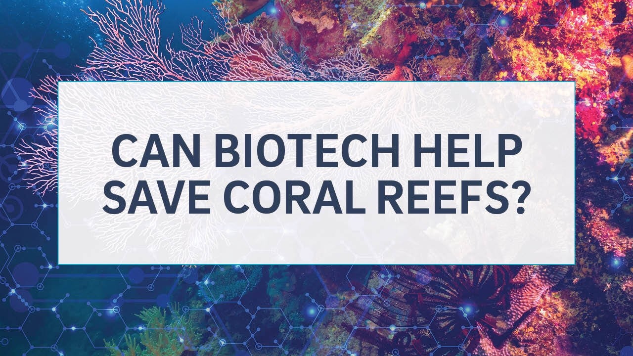 SXSW Panel: Can Biotech Help Save Coral Reefs?
