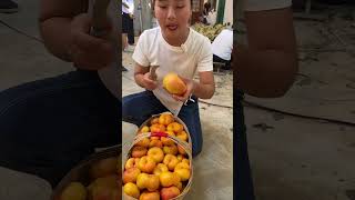 Fresh Fruit Nice Farm P016 #Shorts #Viral