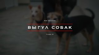 Работа в США по туристической визе Работа в США по туристической визе