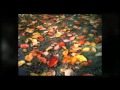 平岡 樹芸センターの紅葉 の動画、YouTube動画。