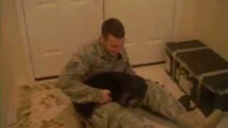 Dogs Soldier Coming Home