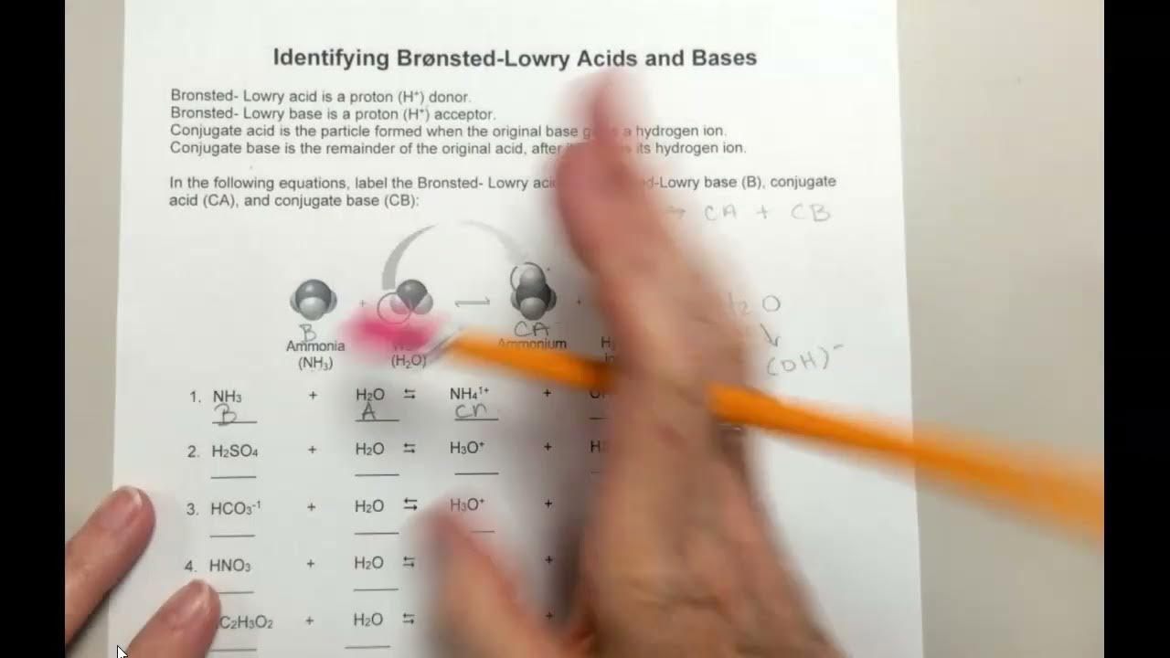 Identifying Bronsted-Lowry Acids and Bases - YouTube