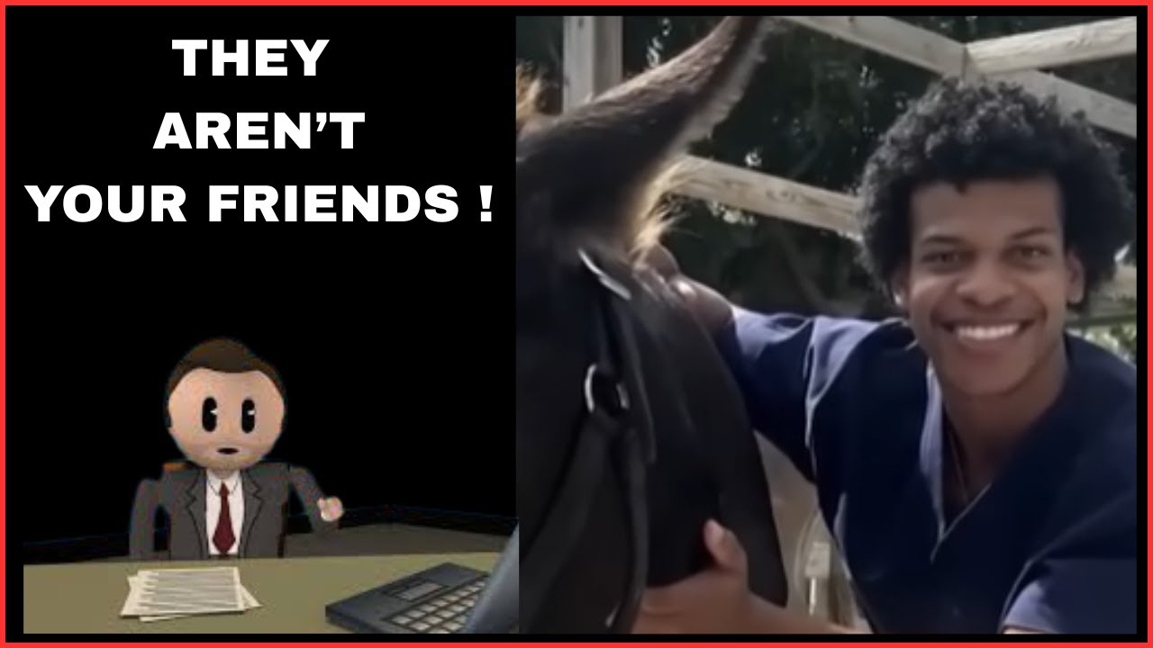 Прекратите пытаться дружить с нарциссами.