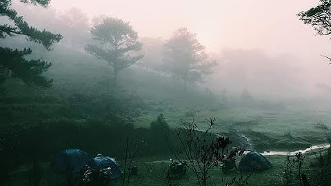 Cắm trại Cây Thông Cô Đơn - Đà Lạt | GR-Team