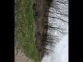 Last Run With Grand Sons Part 2