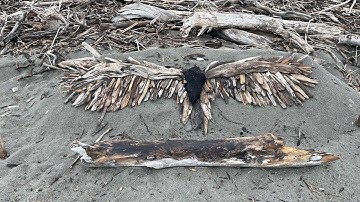 Hokitika Driftwood exhibition walk around.
