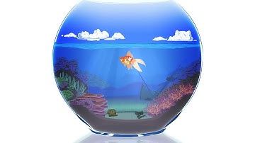 Goldfish - Spine animation