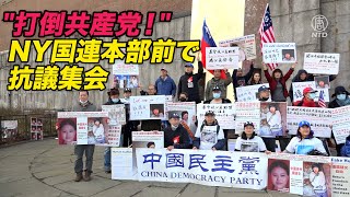 NY国連本部前で抗議集会「私たちのしまいに自由を返せ！」