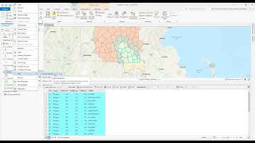 ArcGIS Pro - Exporting a Shapefile